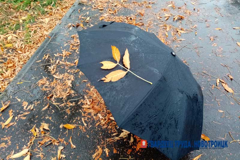 В Оренбуржье днём 12 ноября туман и дождь и до + 8 градусов