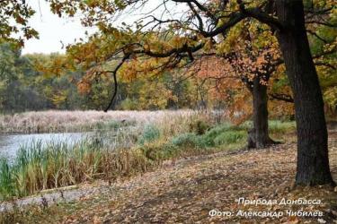 В топ-10 наиболее значимых проектов по исследованию природы Донбасса вошла научная разработка оренбургского ученого Александра Чибилева