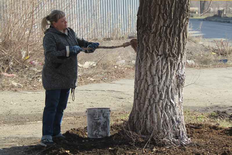 Все на уборку! В Новотроицке стартовал общегородской субботник