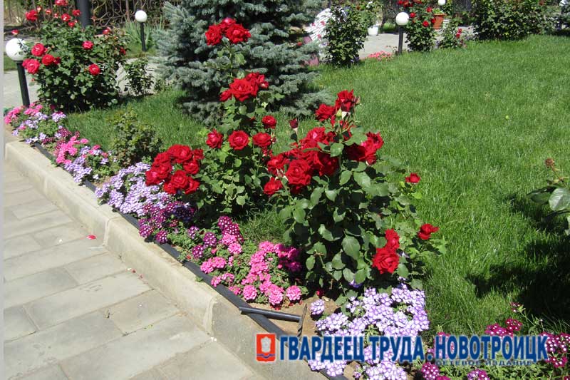 В Новотроицком православном храме появится сквер для семейного отдыха