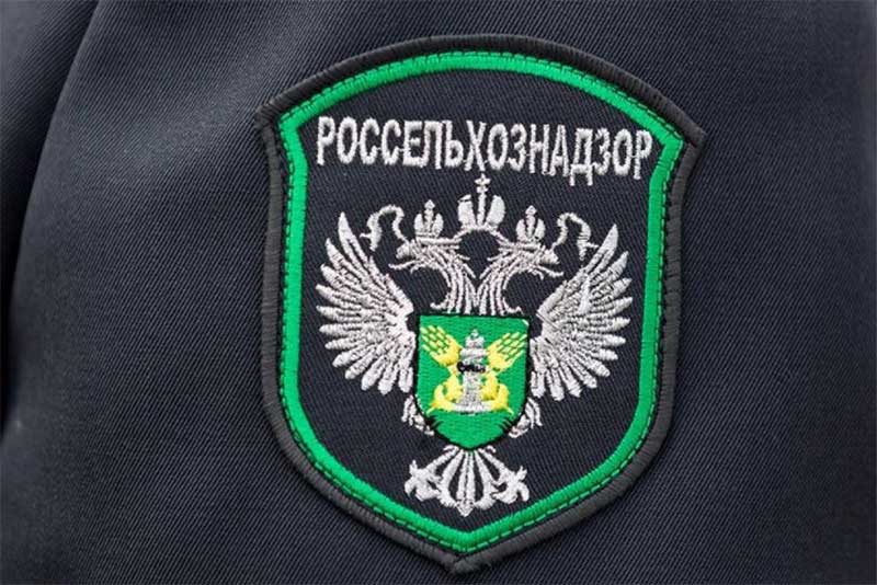  Россельхознадзор выявил  факт незаконного перемещения в пределах Оренбуржья коло 100  голов крупного рогатого скота