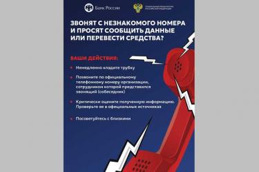 С начала года оренбуржцы перевели телефонным мошенникам более 800 миллионов  рублей
