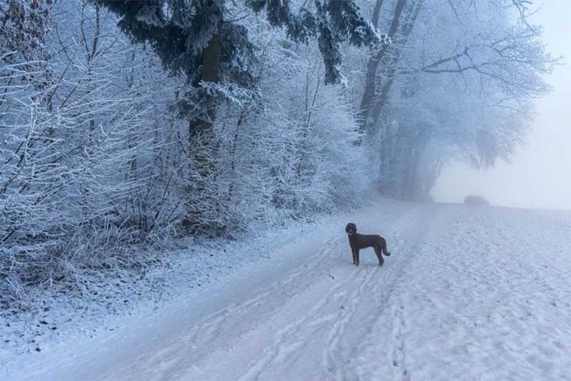 Видимость на дорогах ухудшится из-за тумана в Оренбуржье