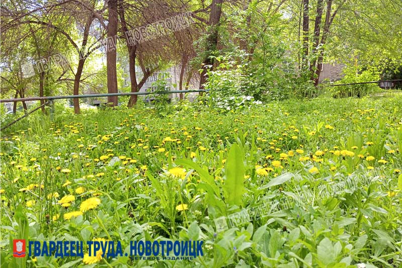 Немного ветрено и без осадков. В Оренбуржье днем, 15 мая, ожидается +17 градусов