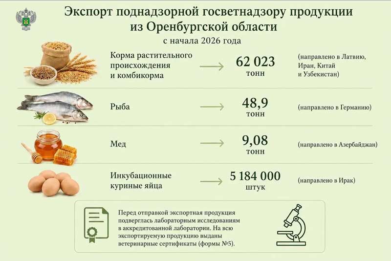Управление Россельхознадзора по Оренбургской области  проконтролировало отгрузку  за рубеж более 62 тысяч тонн  продовольствия и кормов