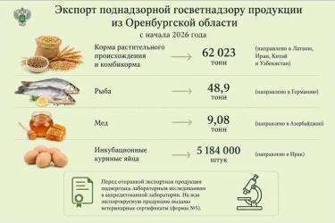 Управление Россельхознадзора по Оренбургской области  проконтролировало отгрузку  за рубеж более 62 тысяч тонн  продовольствия и кормов