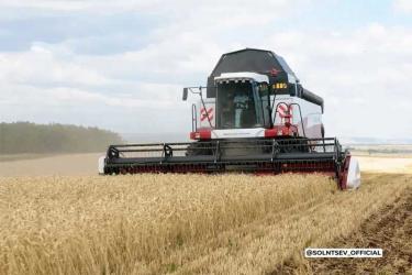 Аграрии Оренбуржья намолотили 4 миллиона тонн зерна нового урожая