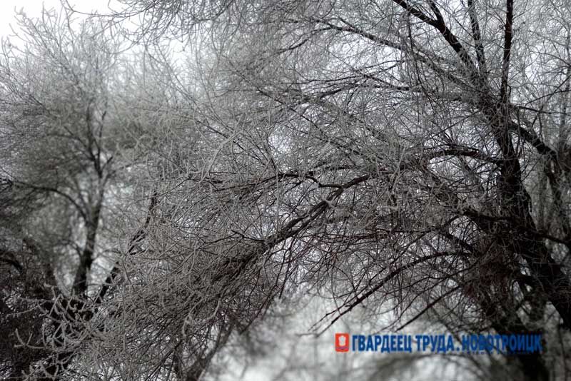 В Оренбуржье днем 16 января ожидается сильный ветер, метель, температура до -20 градусов