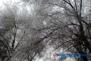 В Оренбуржье днем 16 января ожидается сильный ветер, метель, температура до -20 градусов