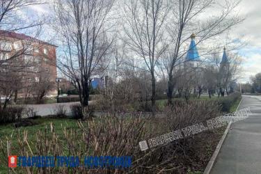 В Оренбуржье 16 апреля днем похолодает до +8 градусов