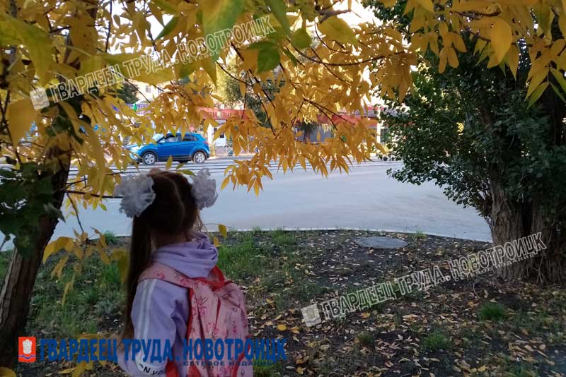 Днем 16 сентября в Оренбуржье ожидается до +22 градусов, дождливо и ветрено