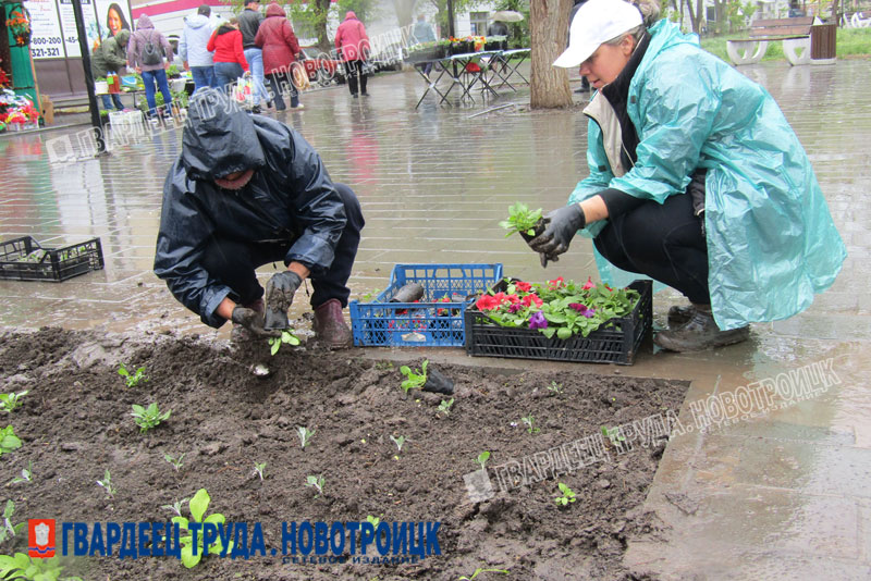  Новотроицк украсят цветники 