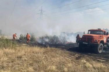 В пригороде Орска подразделения МЧС России ликвидировали ландшафтный пожар