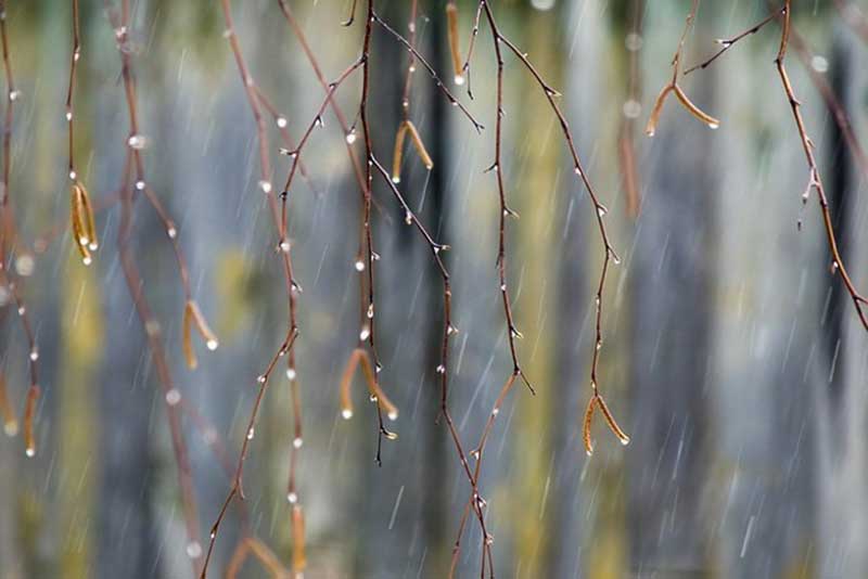 Похолодание и дожди: синоптики предсказывают ухудшение погоды в Оренбуржье