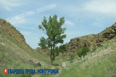 Днем 19 мая в Оренбуржье сохранится жаркая погода, ожидается до +32 градусов
