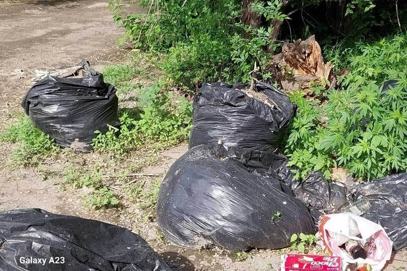 В Центре управления регионом рассказали об обращениях жителей Новотроицка