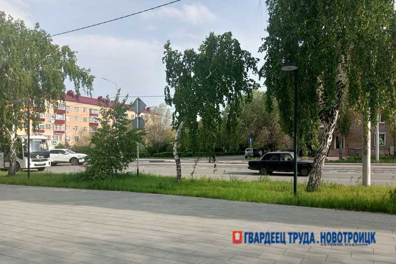  В Оренбуржье днём 19 августа ожидаются дожди и жара до +31 градуса