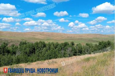В Оренбуржье днем 19 августа ожидается до +33 градусов