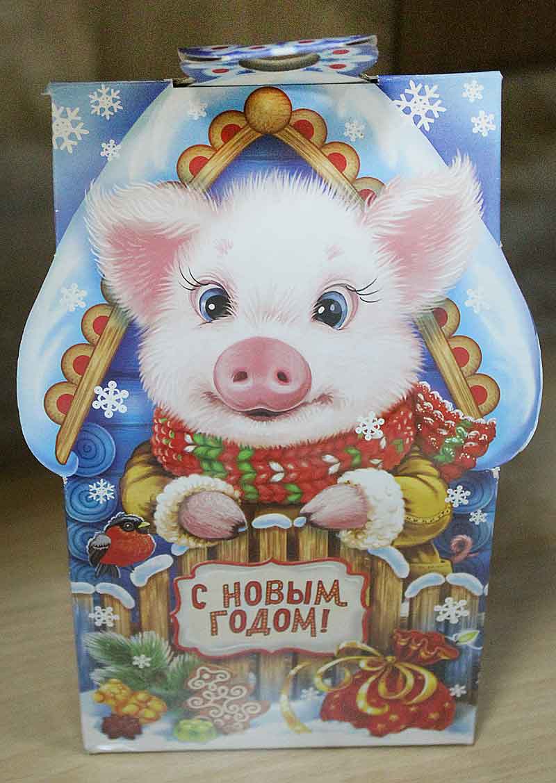 «Новогодний подарок» (фото)
