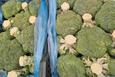 В Оренбуржье пытались ввезти зараженную  продукцию из Узбекистана