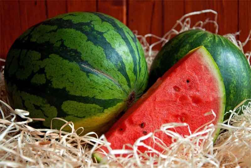 ОРЕНБУРЖЦЫ ПОДДЕРЖИВАЮТ ЗЕМЛЯКОВ В КОНКУРСЕ «ВКУСЫ РОССИИ»