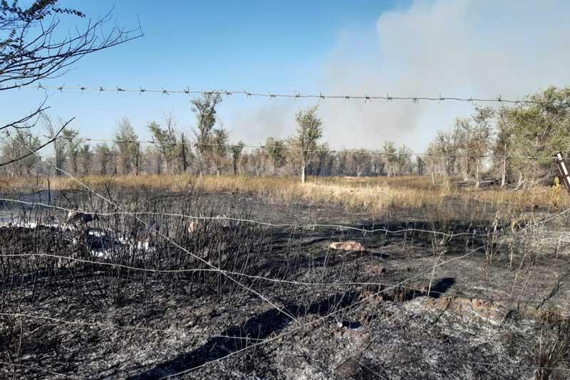 200 гектаров сухой травы тушили пожарные из двух городов