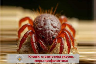 В Оренбуржье зарегистрировано два случая заболевания клещевым вирусным энцефалитом