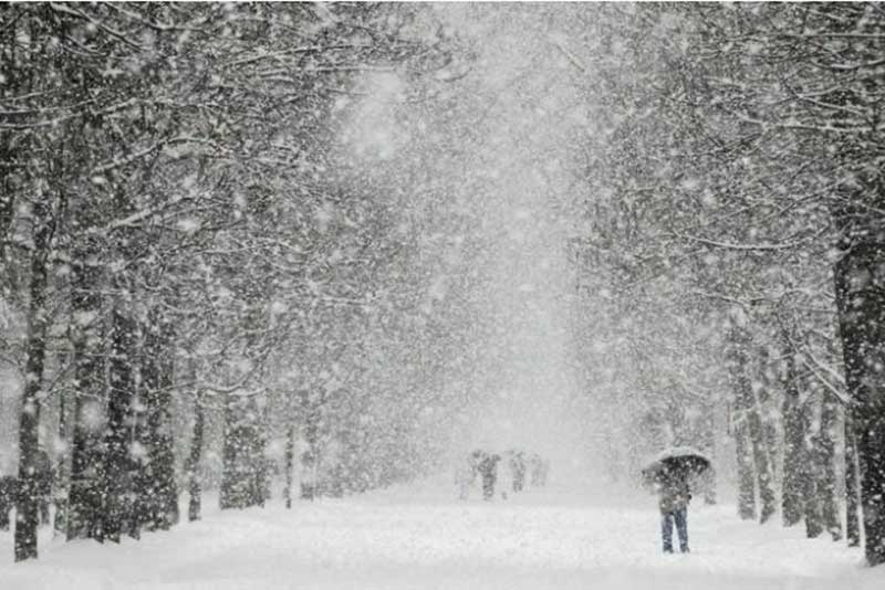 В Оренбуржье усилится ветер и придут снегопады