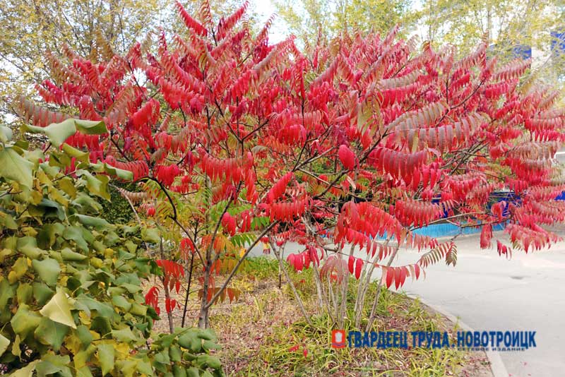 Днём 22 сентября в Оренбуржье тепло, тихо, без осадков. До +25 градусов