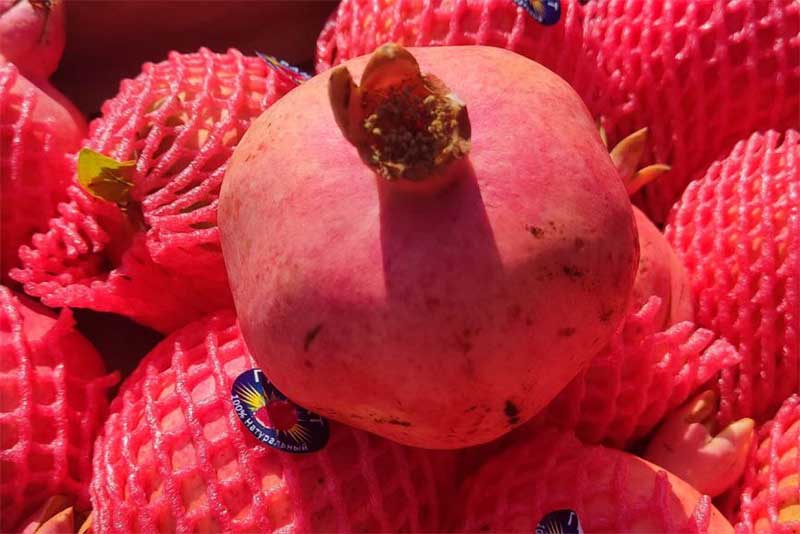 В Оренбуржье выявили  более 19 тонн недоброкачественной продукции  из Узбекистана