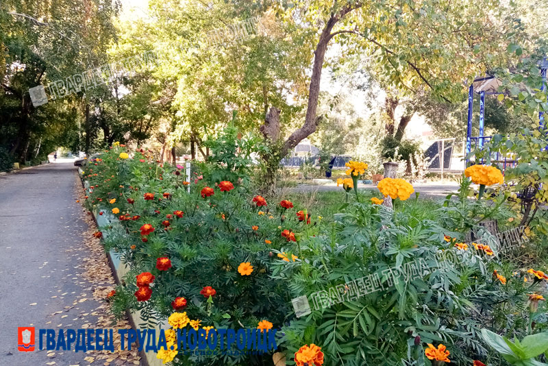 В Оренбуржье днем 23 сентября ожидается до +29 градусов