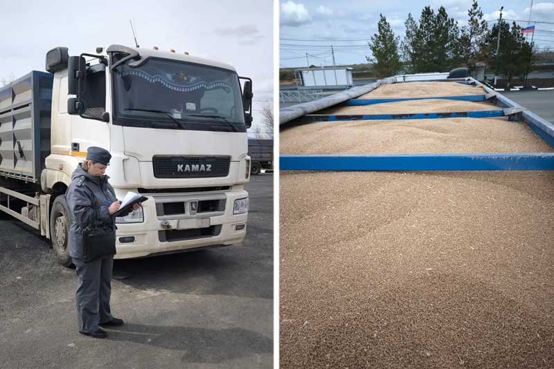 В Оренбуржье предотвратили незаконный вывоз из страны более 190 тонн зерна