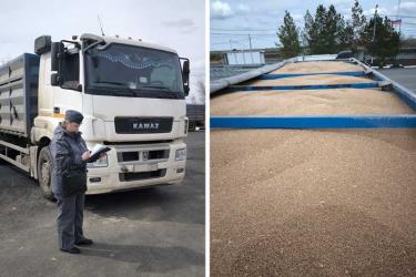В Оренбуржье предотвратили незаконный вывоз из страны более 190 тонн зерна