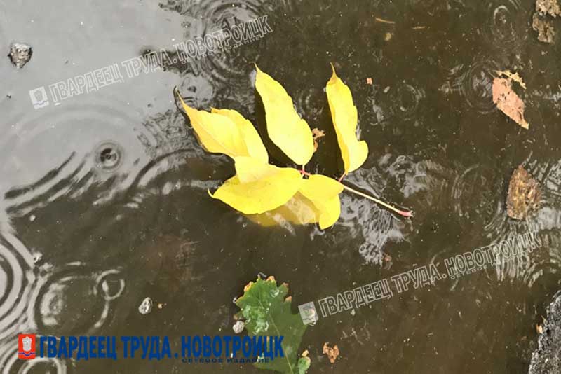 Днём 25 сентября в Оренбуржье ожидается дождь и от +13 до + 28 градусов