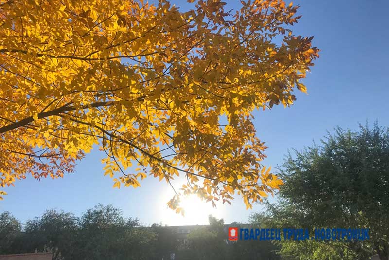 В Главном Управлении  МЧС России по Оренбургской области предупредили о понижении температуры воздуха
