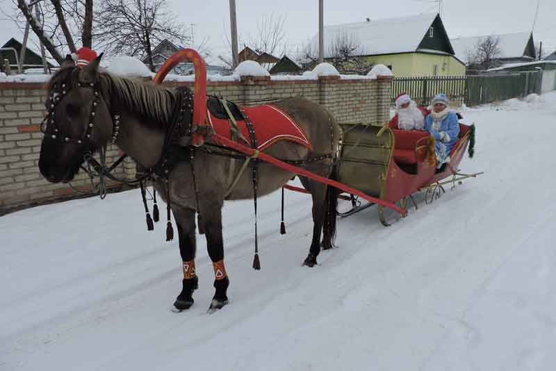 Стартовал новогодний марафон