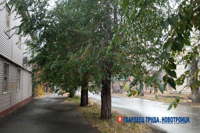 Днём 26 сентября в Оренбуржье ожидаются дожди и до + 18 градусов