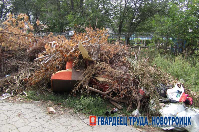 В Оренбуржье возросли штрафы  за выброс мусора