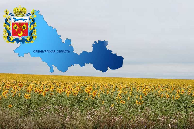 Премьер-министр России Михаил Мишустин  отметил Оренбуржье как пример системной работы по реализации социально значимых проектов