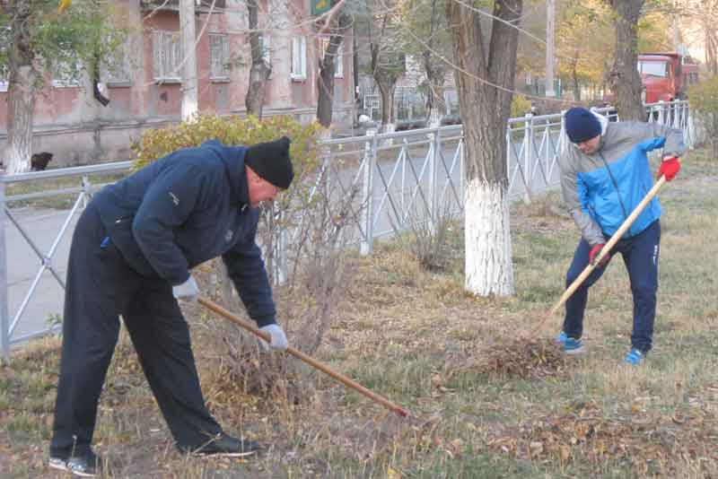 В городе – осенняя уборка (фото)