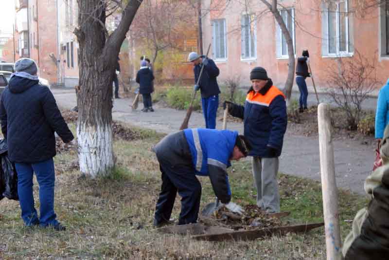 В городе – осенняя уборка (фото)