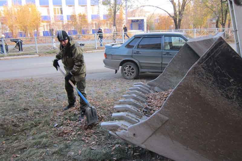 В городе – осенняя уборка (фото)