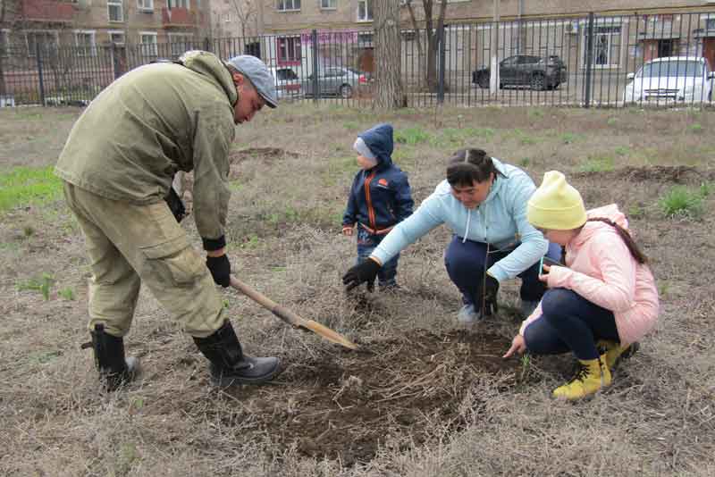 Когда деревья станут большими…