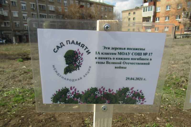 Когда деревья станут большими…