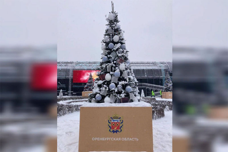 На международной выставке-форуме «Россия» установлена новогодняя елка Оренбуржья