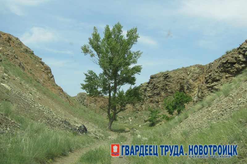 Днем 31 июля в Оренбуржье ожидаются небольшие дожди и от +19 до +28 градусов